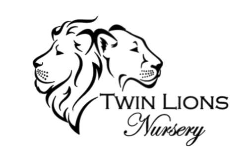 Twin Lions Nursery